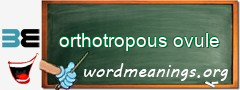 WordMeaning blackboard for orthotropous ovule